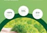 design a bifold, trifold, magazine, brochure